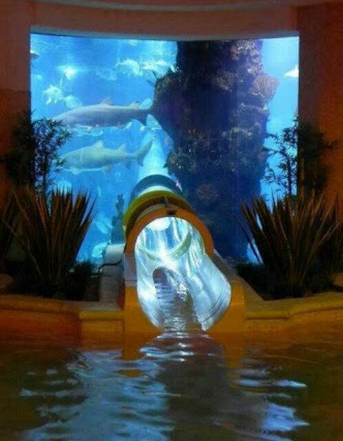 I WANT this waterslide!!! - meme