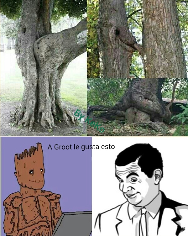 Este Groot es un loquillo - meme