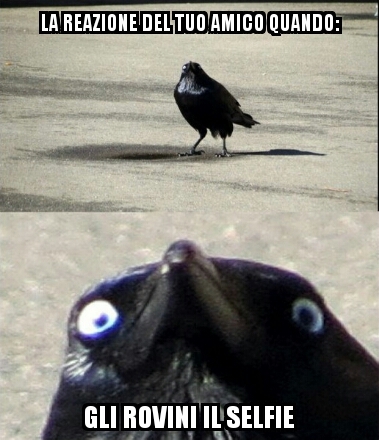 Scusate se le scritte sono piccole ma i corvi erano alle estremità - meme