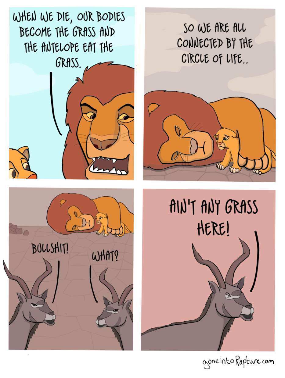 mufasa is a liar - meme