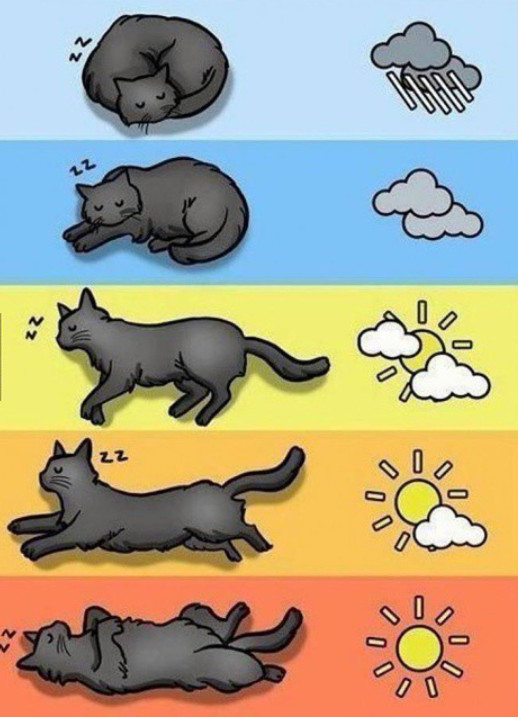 How I know my weather - meme