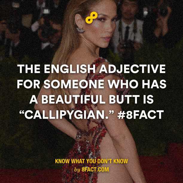 English adjective - meme