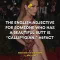 English adjective