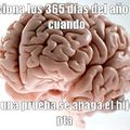 Cerebro.......