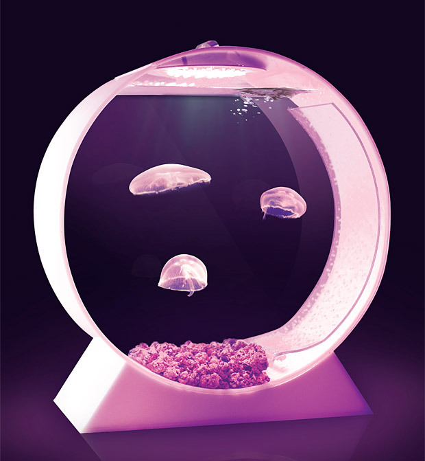Real pet jellyfish.  A necessity for everyone. - meme