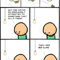 Dumb moths