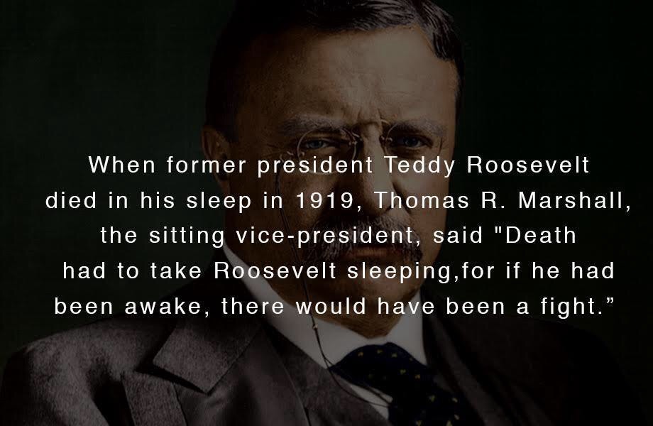 Teddy Roosevelt - meme