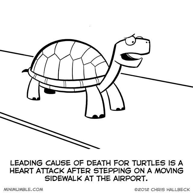 turtles prefer train travel - Meme by mustafatopi :) Memedroid