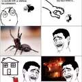 Odio las arañas D: