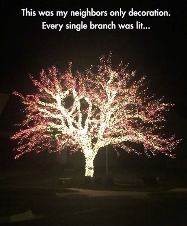 Beautiful tree - meme