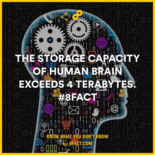 human brain capacity - meme