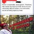 Even the trees won't be spared from the feminazis