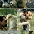 I'll ask my mum if I can have one,lions are so cute
