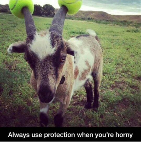 use protection - meme