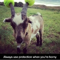 use protection