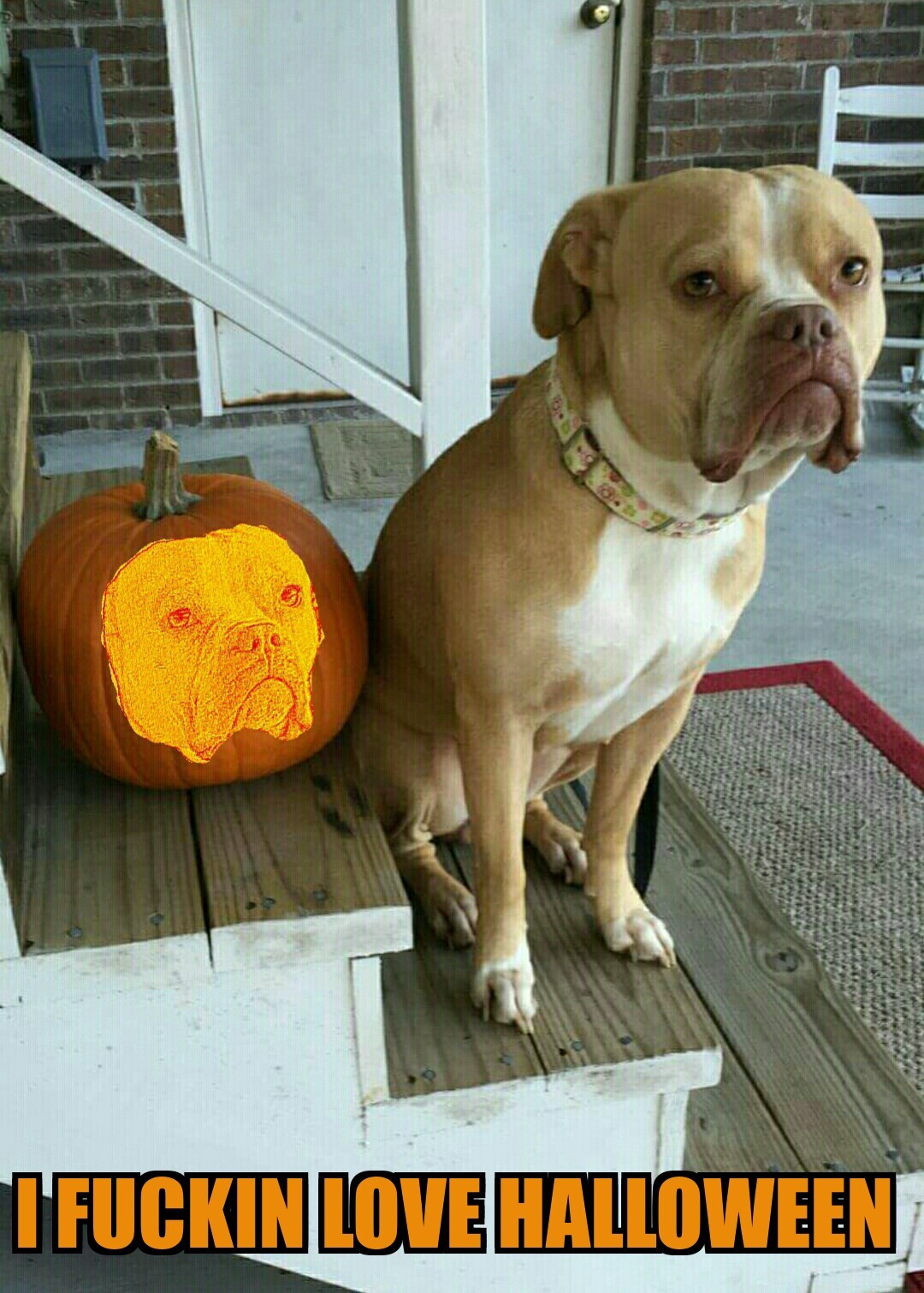 Paris carved a pumpkin - meme