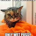 Wet puss