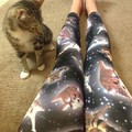 Not my cat, but i need those leggings