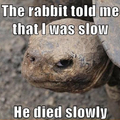 Creepy turtle