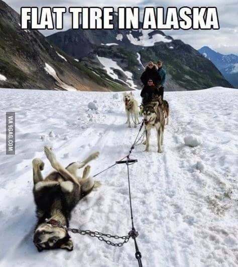 Un pneu crevé en Alaska - meme
