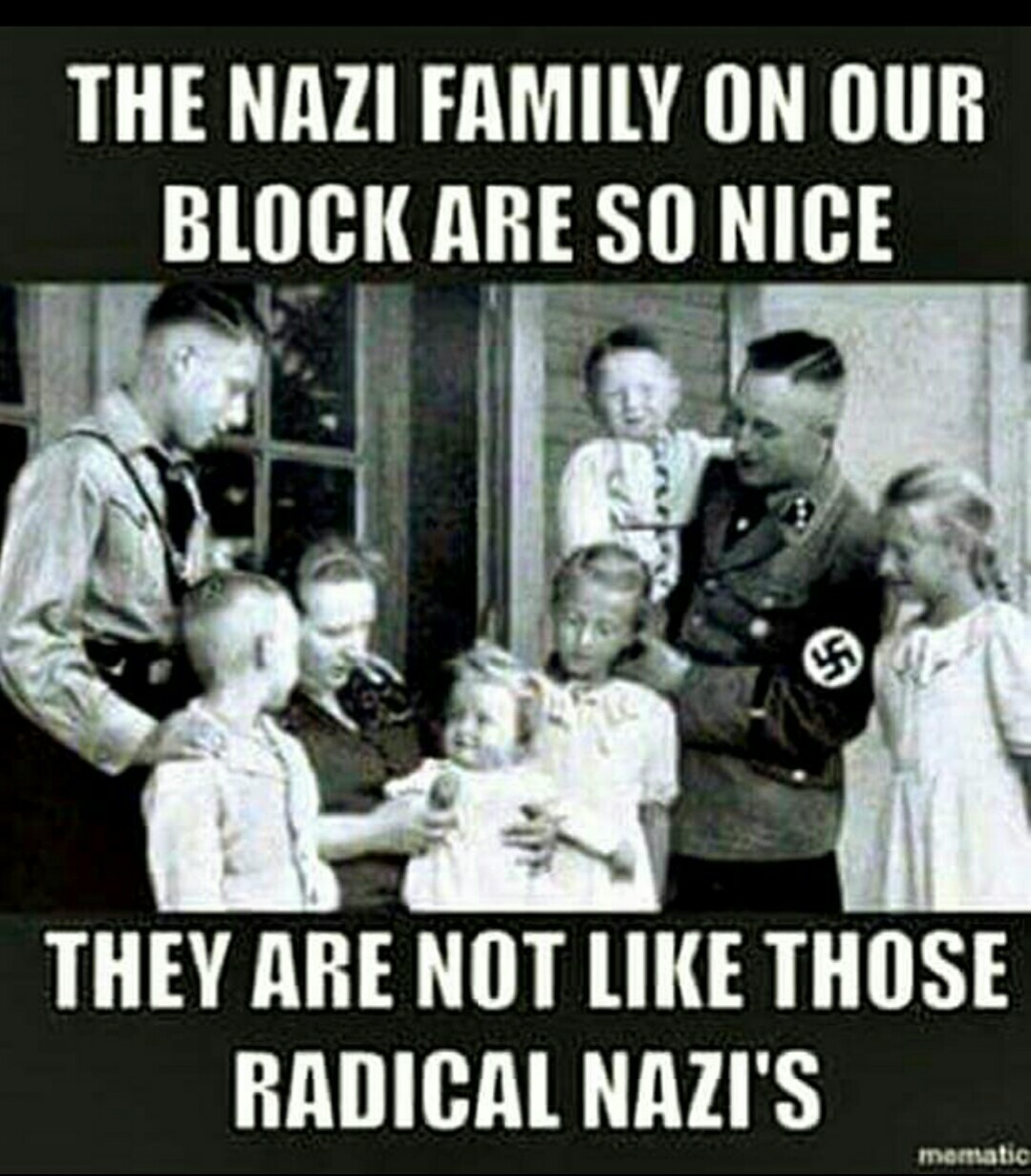Not all nazis are bad - meme