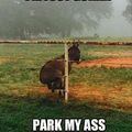 Parking my ass