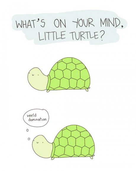 little turtle - meme