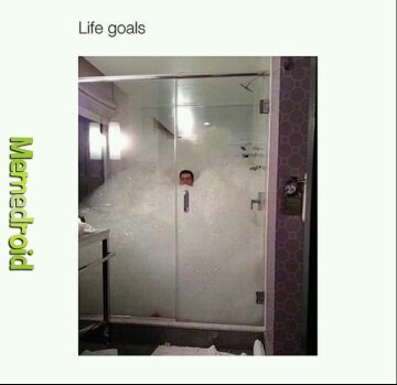 Life goals - meme