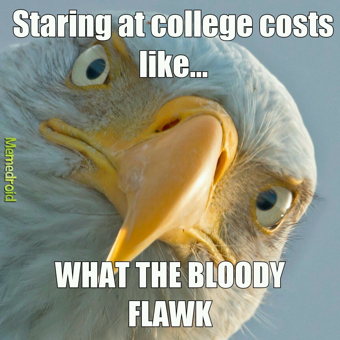 College cost got title dry - meme