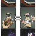 How dogs see things