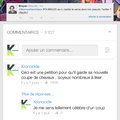 Commentaire populaire