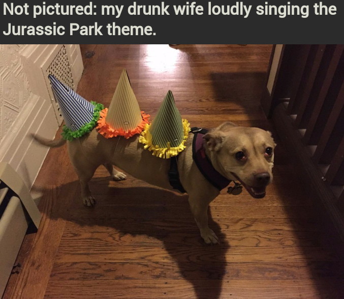 That dog looks drunk too - meme