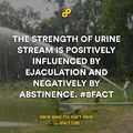 urine stream