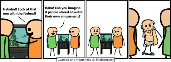 Cyanide and Happiness for days - meme