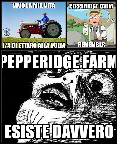 Pepperidge - meme