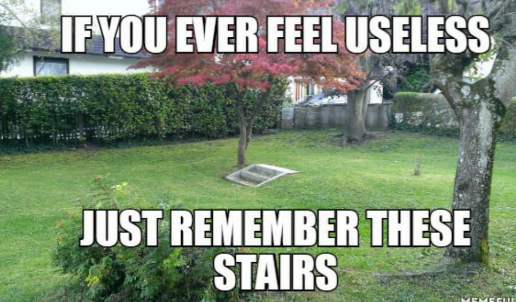Remember me the title! Not the stairs! - meme
