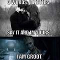 Groot is love