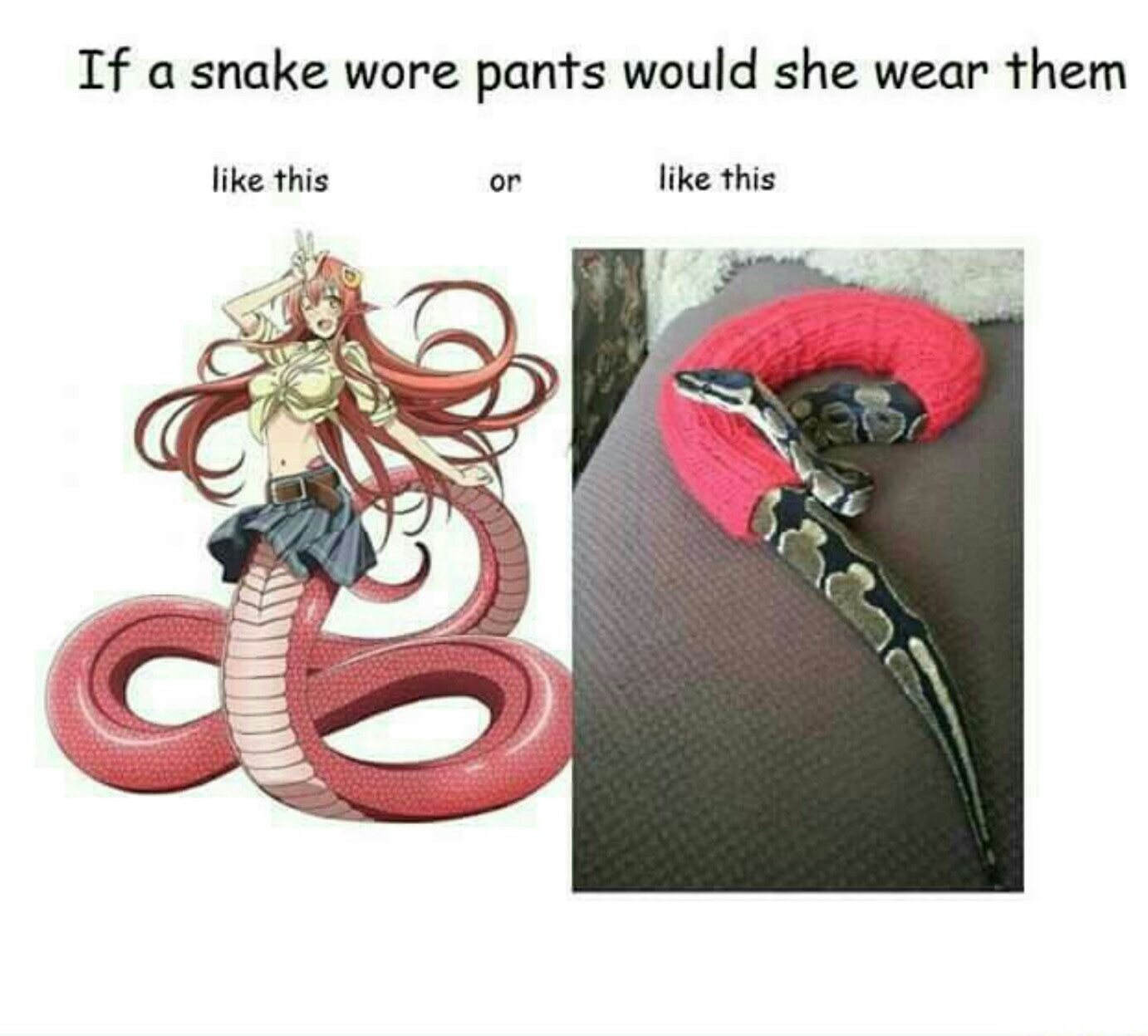 Oh you sweet sexy snake lady. - meme