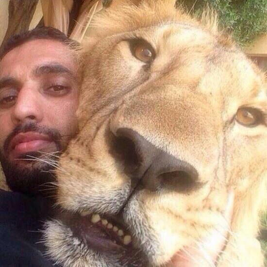 King of the selfie - meme