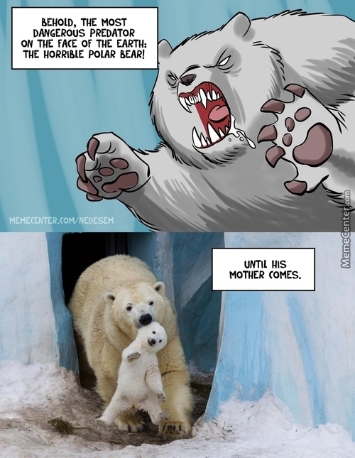 polar bear - meme