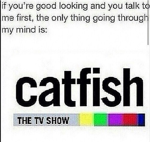 Catfish - meme