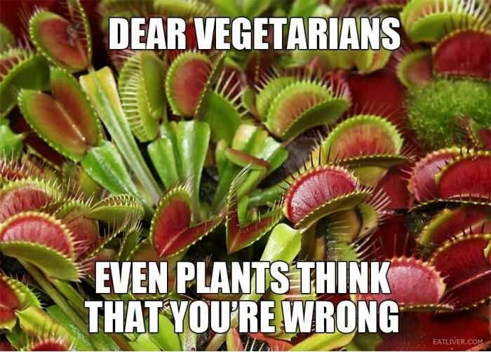 Stupid Vegetarians - meme