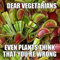Stupid Vegetarians