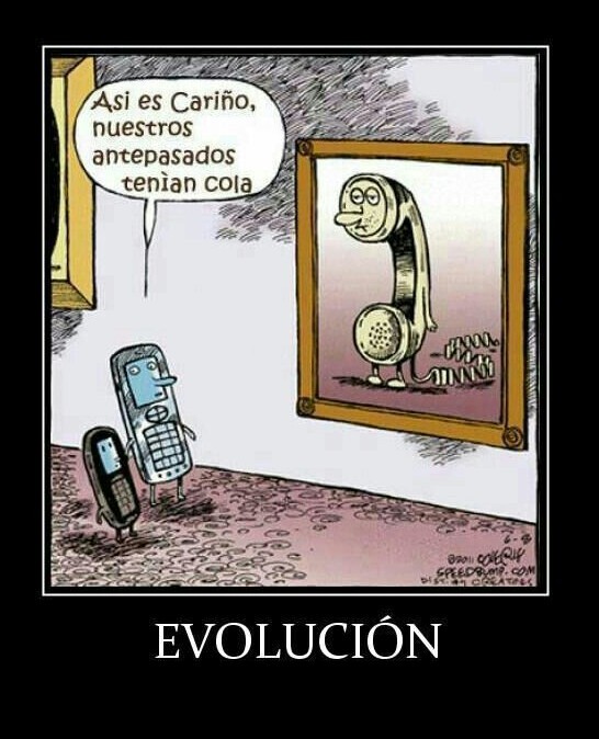 evolucion - meme