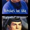 Her eyebrows are "Spock" on..... *crickets*