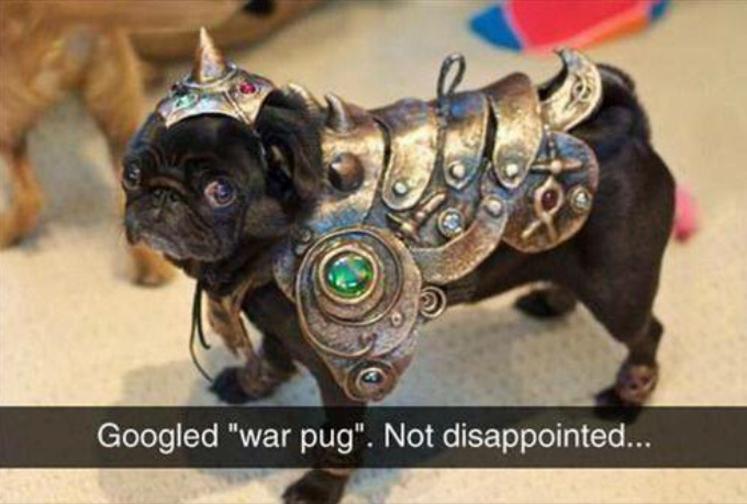 Release the war pug! - meme