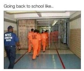 Back to school guys - meme