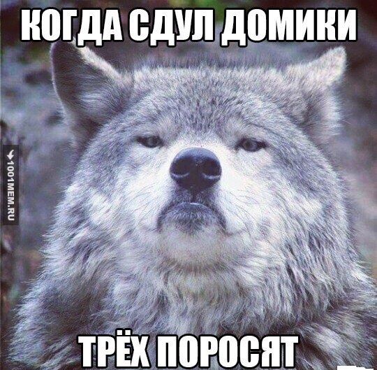 Волк - Meme by romka246 :) Memedroid