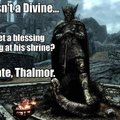 Then you must join to the empire and after fight to the Stormcloaks, you lead a rebellion agaisnt the Thalmor.
