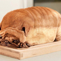 Pan de perro
